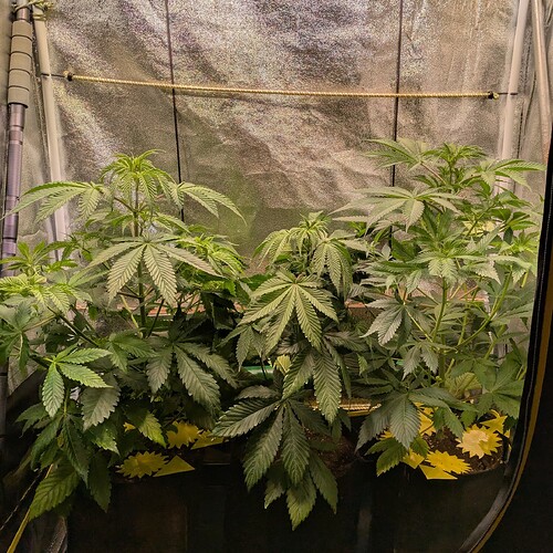 Growreport Bild 2