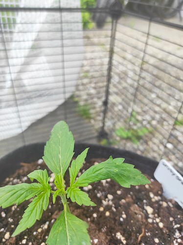 Growreport Bild 8