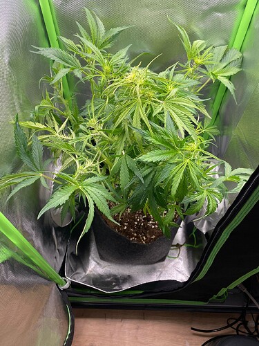 WhatsApp Bild 2024-04-30 um 20.13.17_f5a7acc2