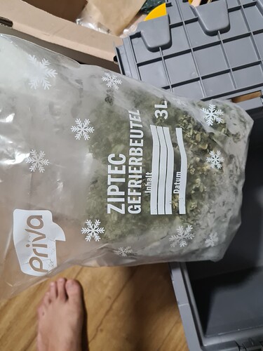 Growreport Bild 1