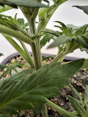 Growreport Bild 30
