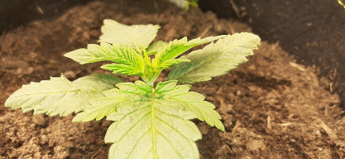 Growreport Bild 14