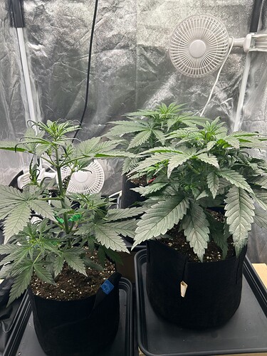 Growreport Bild 6