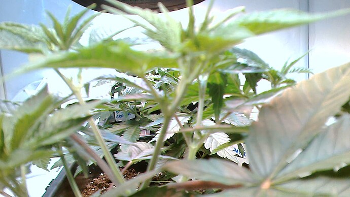 Growreport Bild 5