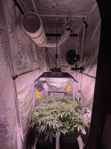 Growreport Bild 9