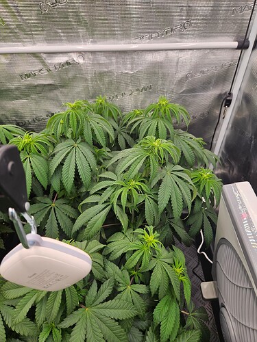 Growreport Bild 10