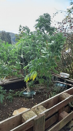 Growreport Bild 14