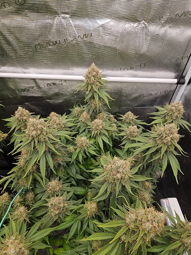 Growreport Bild 10