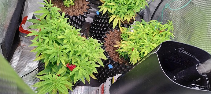 IMG_20251030_102636986_HDR