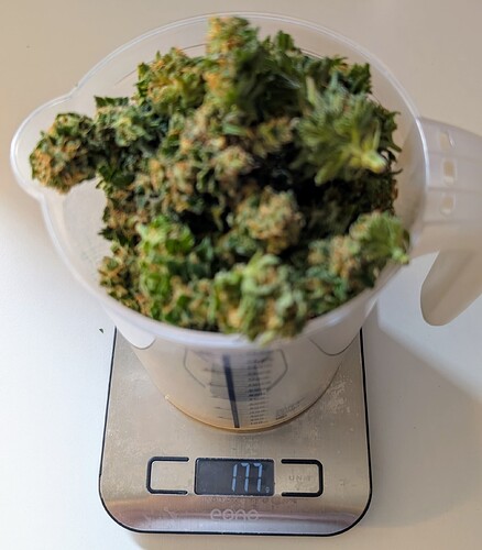 Growreport Bild 64