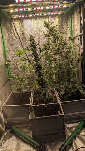 PXL_20260309_174109129