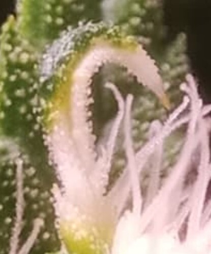 Growreport Bild 4