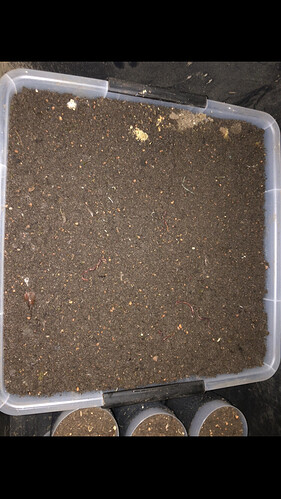 Growreport Bild 46