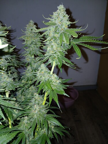 20240801_230440