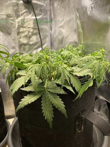 Growreport Bild 21