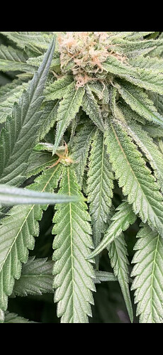 Growreport Bild 14