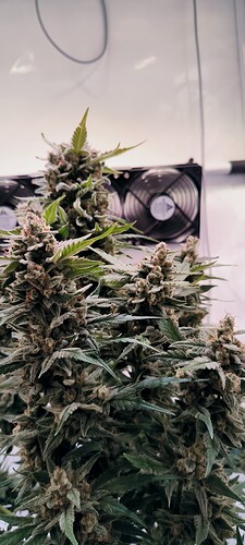 Growreport Bild 9