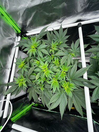 Growreport Bild 3