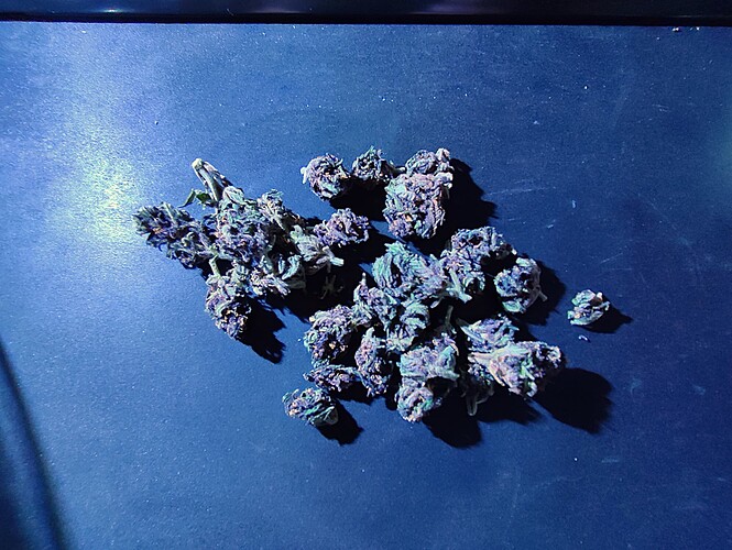 Growreport Bild 1