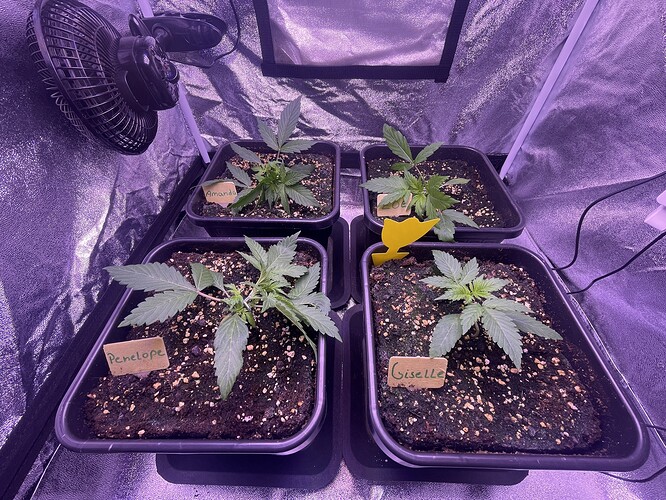 Growreport Bild 20
