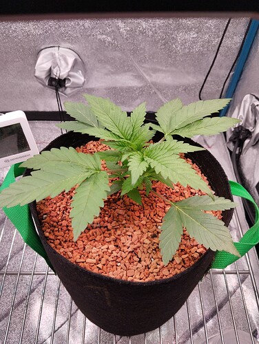 Growreport Bild 12