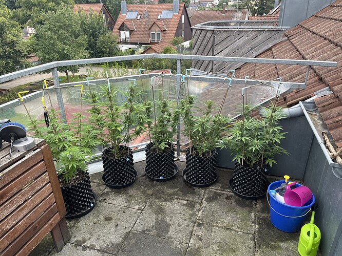 Growreport Bild 5