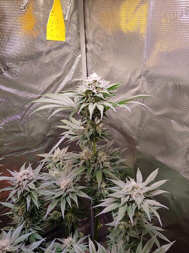 Growreport Bild 24