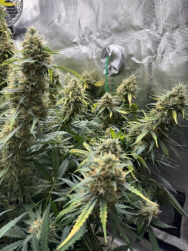 Growreport Bild 14