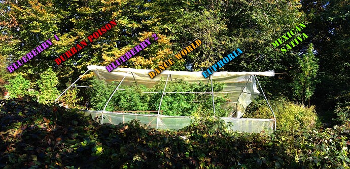 Grow25_1013b_17_txt