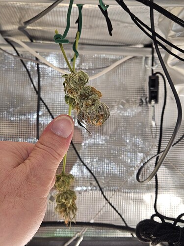 Growreport Bild 23