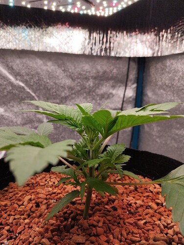 Growreport Bild 15