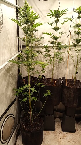 Growreport Bild 15