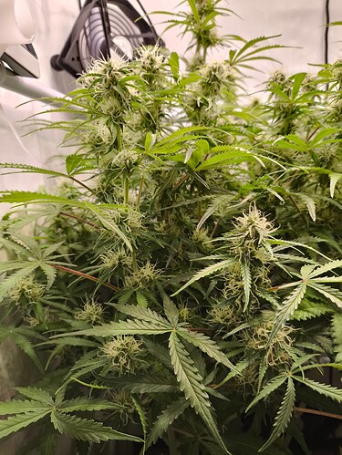 Growreport Bild 14