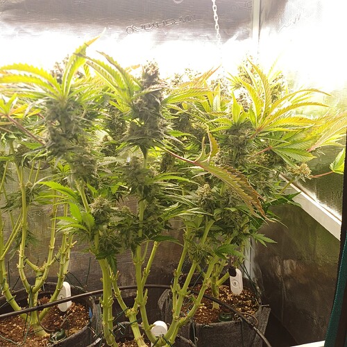 Growreport Bild 14