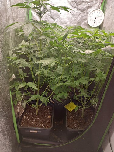 Growreport Bild 15