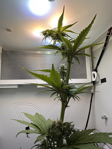 Growreport Bild 2