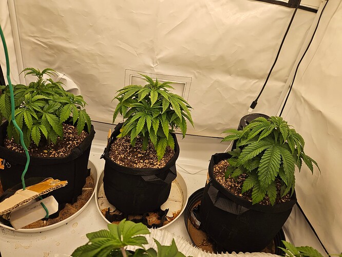 Growreport Bild 12
