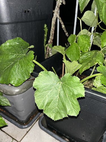 Growreport Bild 26
