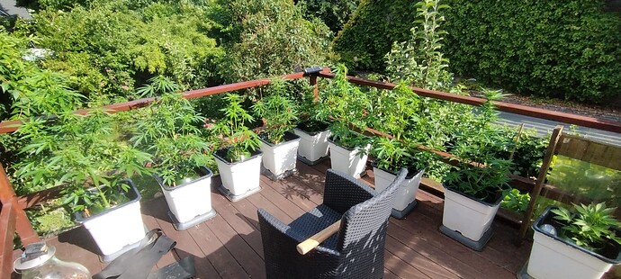 Growreport Bild 9