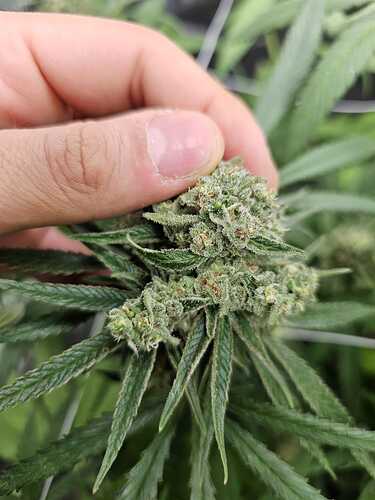 f4768437-ce07-4a45-b89e-7549e852fe74