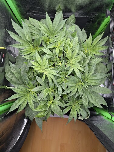 PXL_20240927_163001480~2