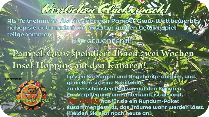 Growreport Bild 15