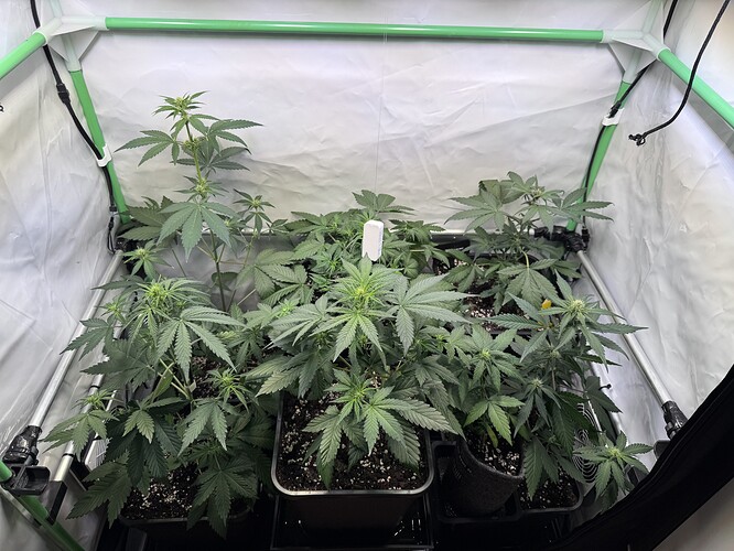 Growreport Bild 25