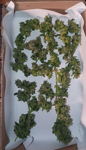 Growreport Bild 9