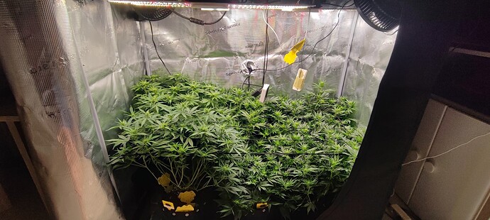 Growreport Bild 10