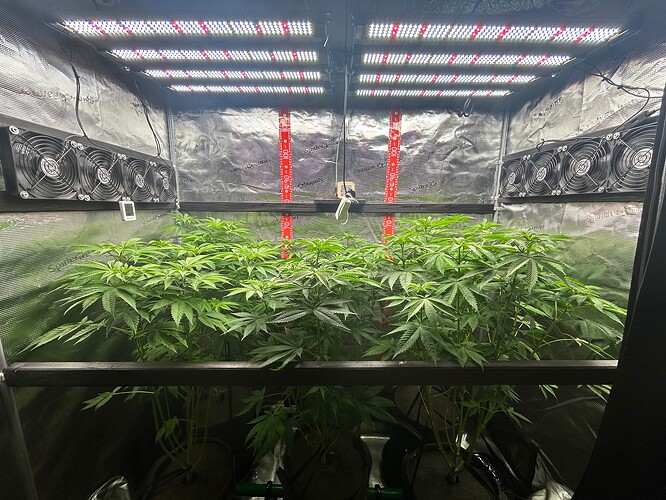 Growreport Bild 11