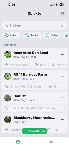 Growreport Bild 14