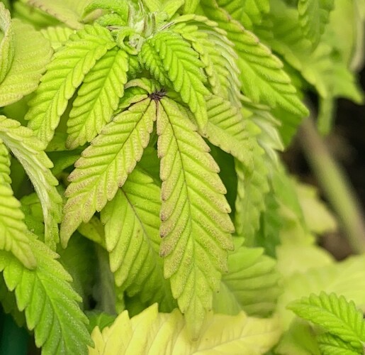 Growreport Bild 23