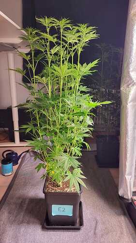 Growreport Bild 23