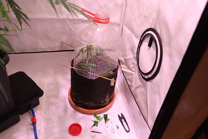 Growreport Bild 13